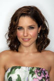 http://img101.imagevenue.com/loc3/th_49213_Celebutopia-Sophia_Bush-2008_Teen_Choice_Awards_Red_Carpet_Portraits-01_123_3lo.jpg