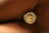 Kamilla in White Rosee4m47shtvz.jpg